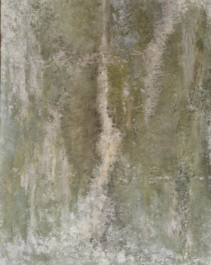 Fango - Image 3