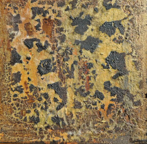 Savanne - Image 3