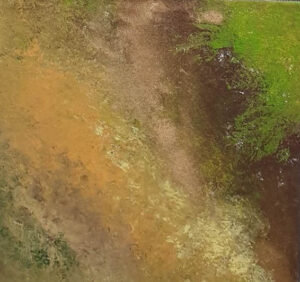 Natur - Image 2