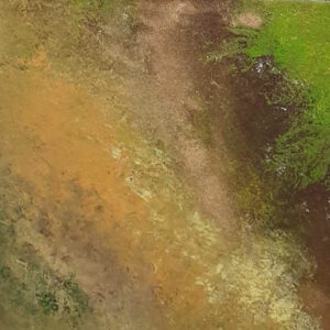 Natur